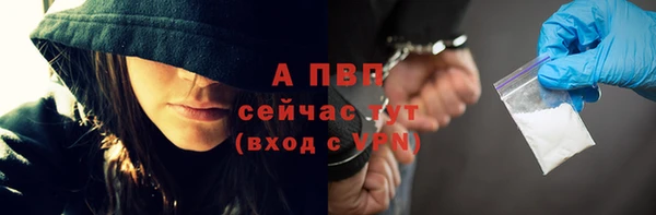 прущие крисы Магас