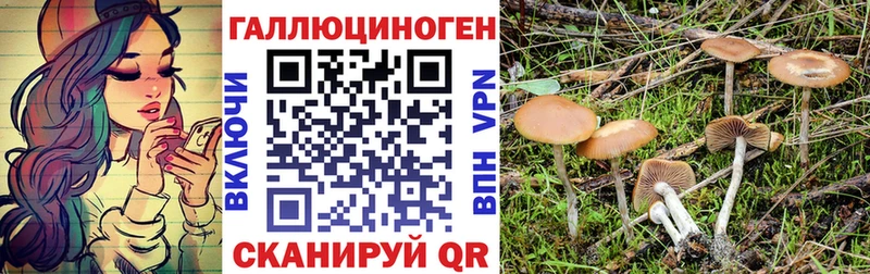Галлюциногенные грибы мицелий  Чадан 